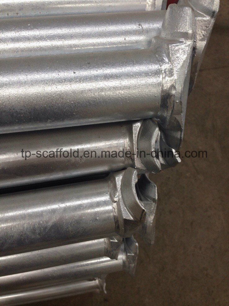 Libro mayor/horizontal de acero galvanizado en caliente del andamio de Cuplock del material de construcción
